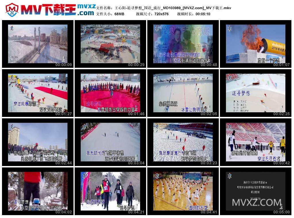 王心阳-追寻梦想_国语_流行_MD103989